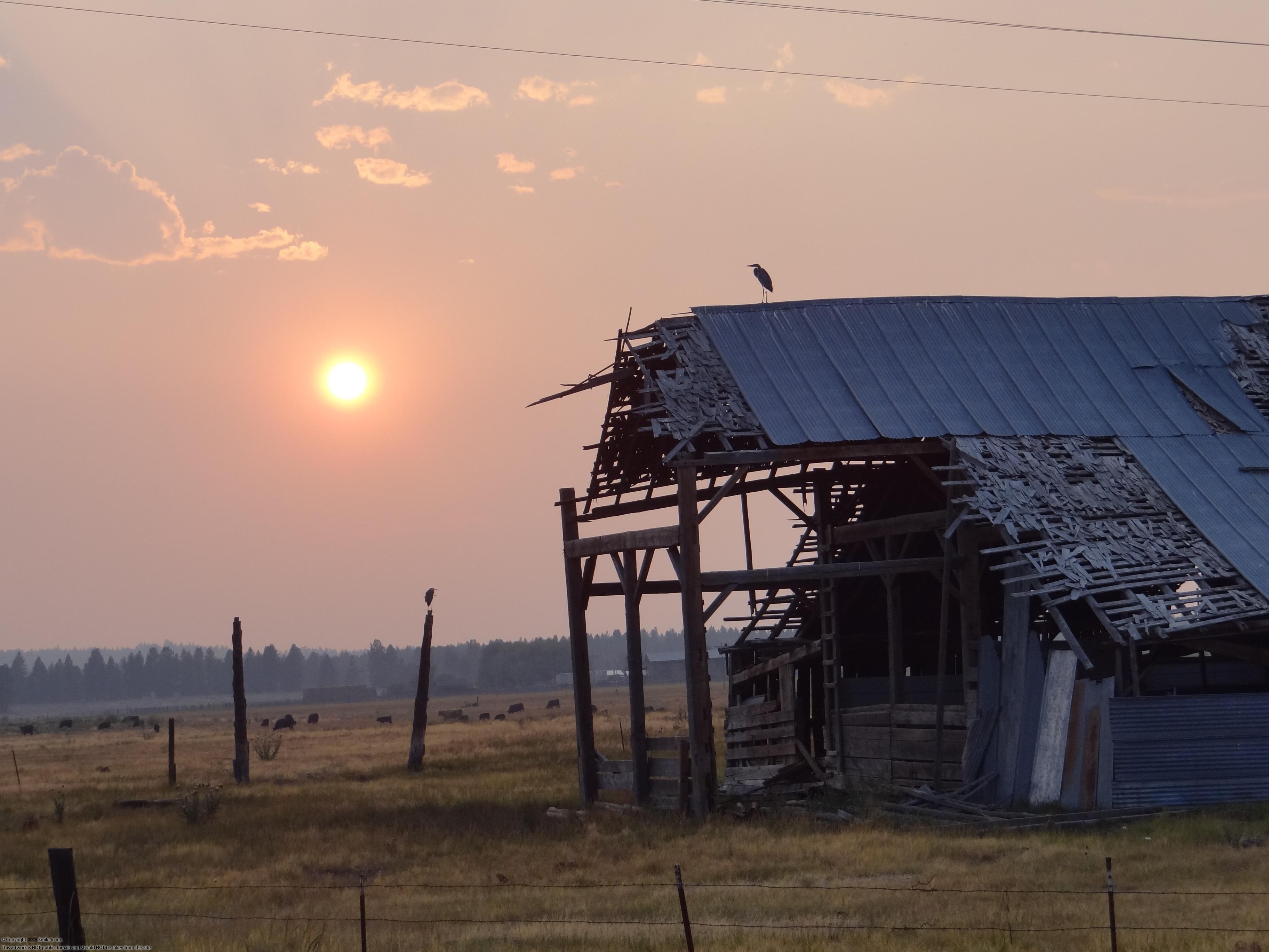 5 AC land for sale in Beatty, Oregon